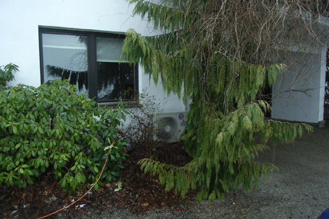 Mitsubishi_hinter_Strauch_Totale